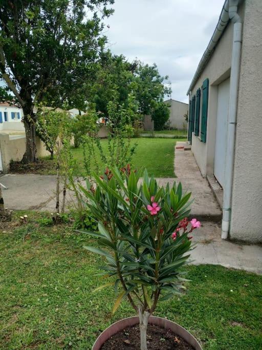 Fleur De Sel D Oleron 3 Chambres Ле-Шато-д'Олерон Екстер'єр фото